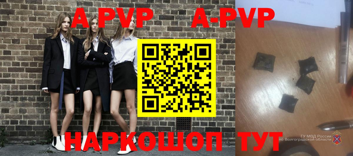 A-PVP СК КРИС Тверь