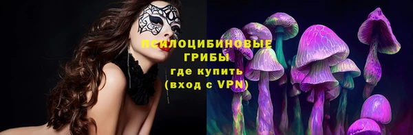 меф Алексин