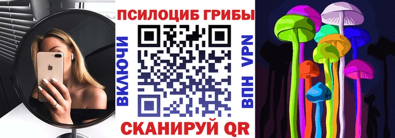 Псилоцибиновые грибы GOLDEN TEACHER Тверь