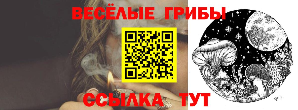 Псилоцибиновые грибы мухоморы Тверь